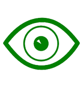vision